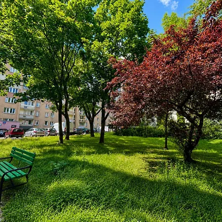 Nowoczesny Przy Parku 10 Minut Od Centrum アパート